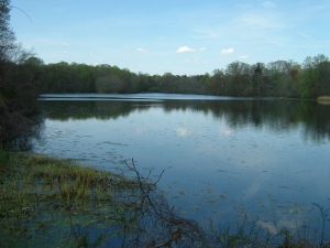 One of the Twin Lakes